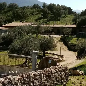 Sa Mendula , Oliena Italia